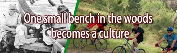 one small bench in the woods becomes a culture